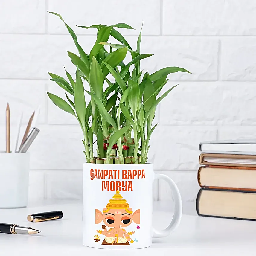 Gift Lucky Bamboo for Ganesh Chaturthi