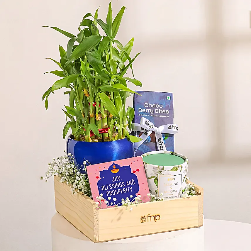 Diwali Plant N Chocolate Tray Hamper