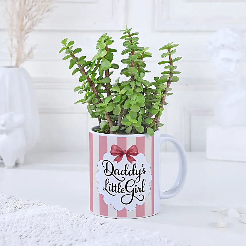 Daughter’s Day Jade Plant in Mug
