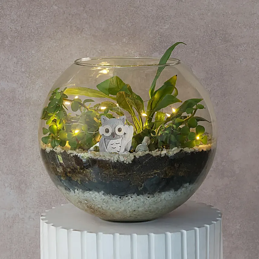 Lush Green LED Fish Bowl