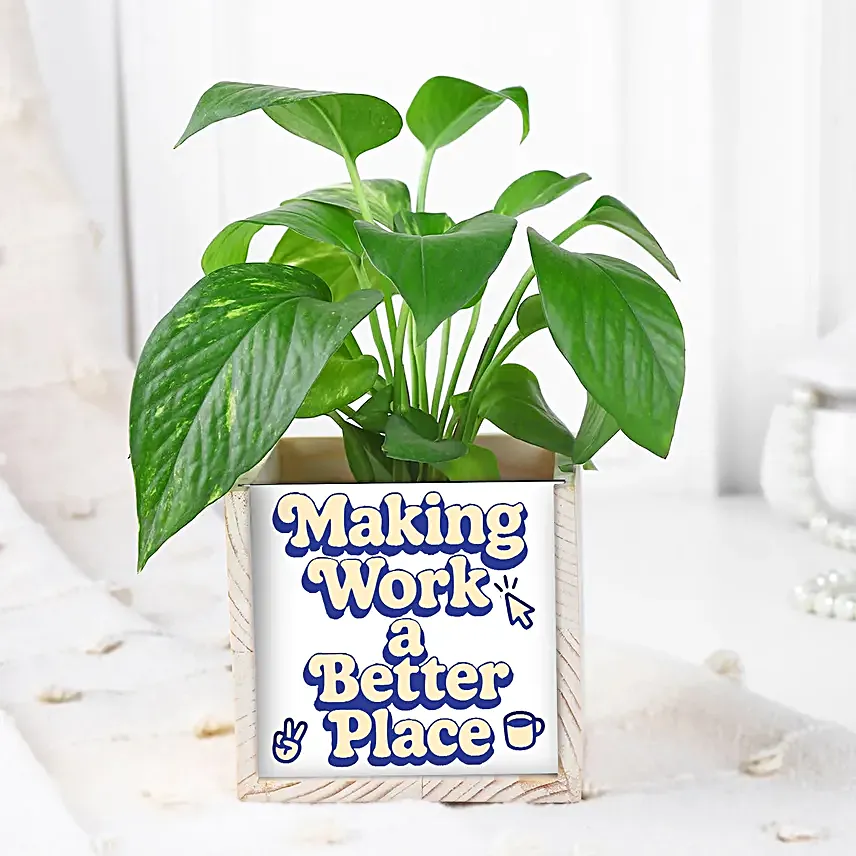 Boss Day Plant with Table Organiser