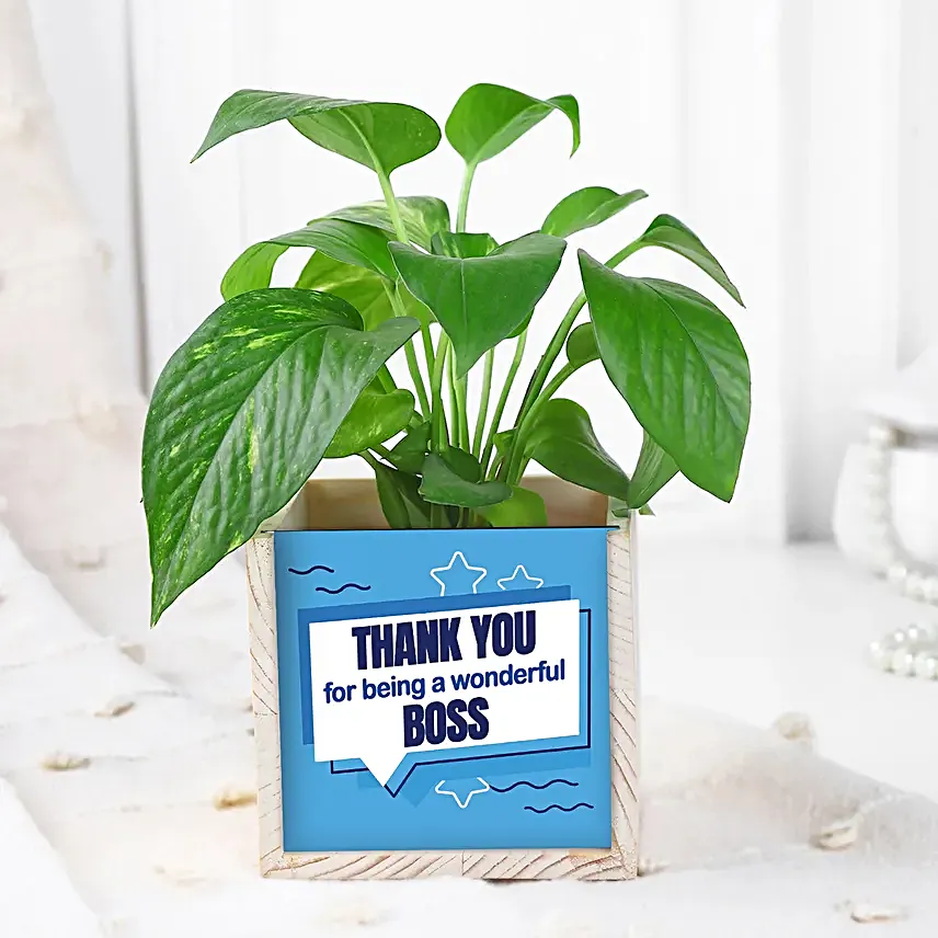 Boss Day Eco-Friendly Desk Set