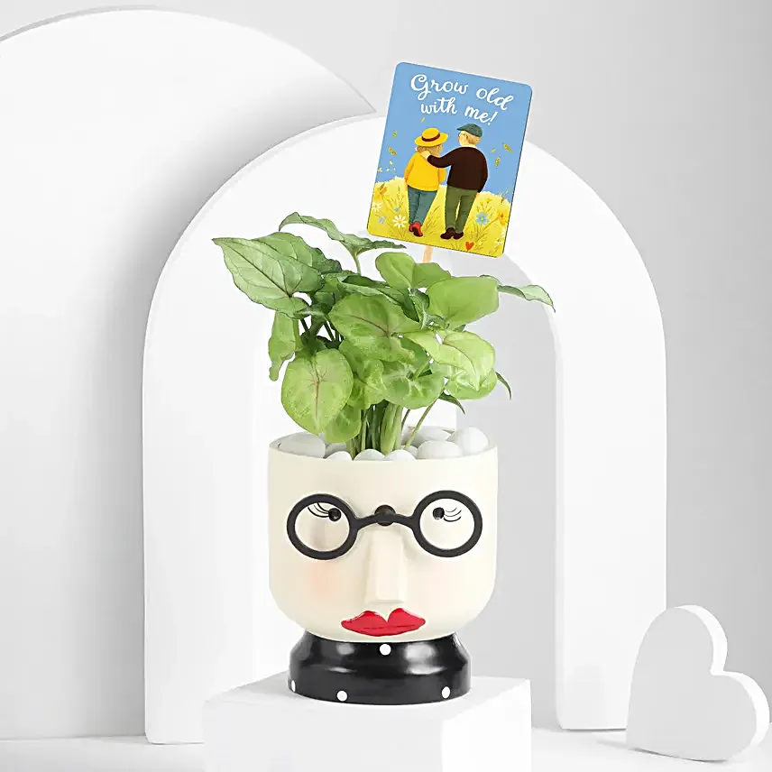 Heartfelt Plant Gift Set