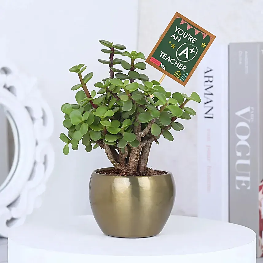 A+ Teacher's Day Plant N Fridge Magnet