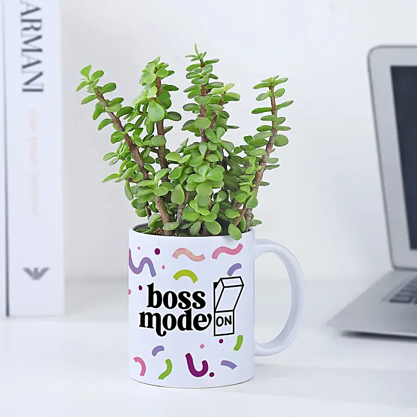 Boss Day Jade Plant n Coffee Mug Set