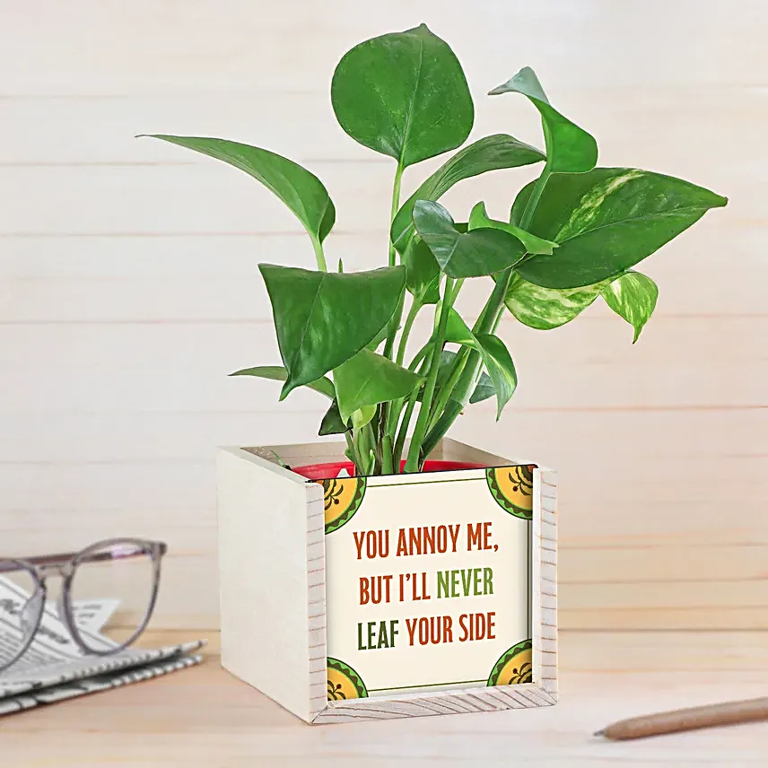 Bhai Dooj Quirky Plant Gift