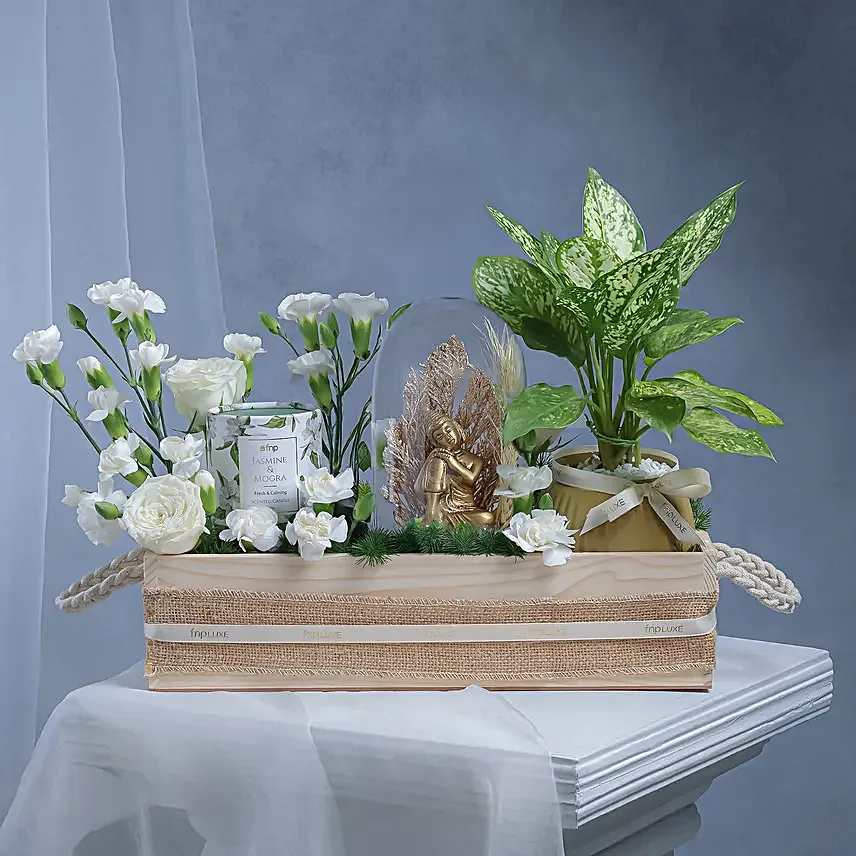 Buddha n Aglaonema Zen Gift Crate