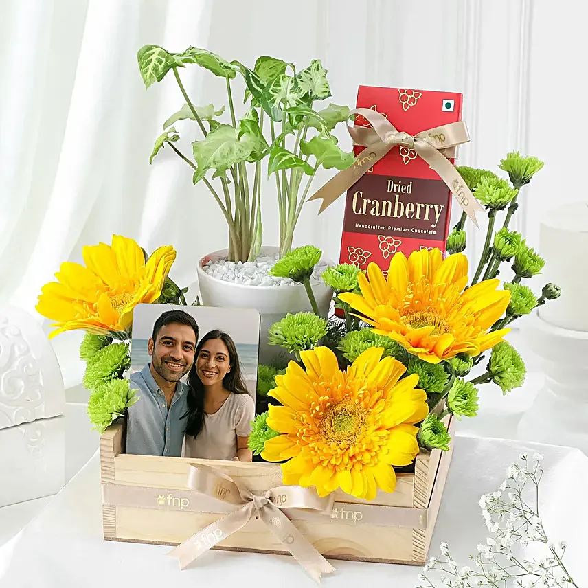 Cheerful Gerberas N Green Plants Hamper