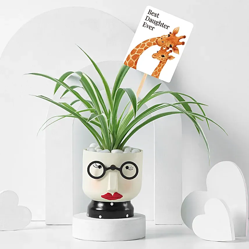 Daughter’s Day Plant Gift with Resin Pot