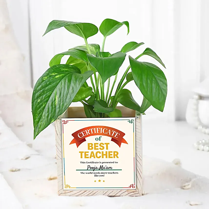 Certificate of Best Teacher Plant Gift